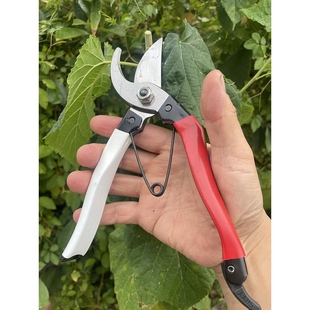 蝴蝶牌剪葡萄专用剪枝剪整枝剪花木修树枝剪花枝剪刀果树园艺弹簧