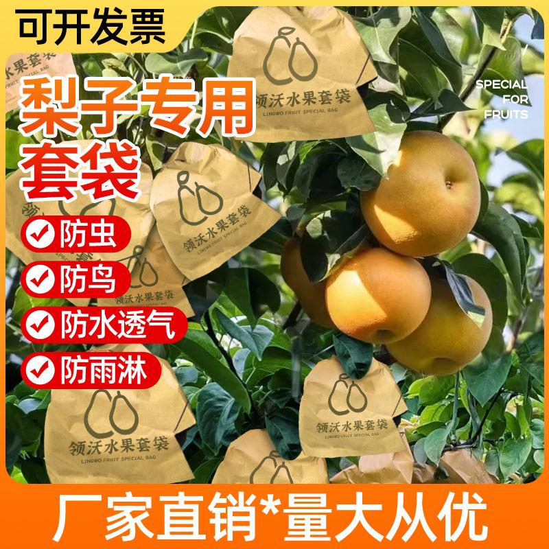 梨子套袋专用水果树防虫