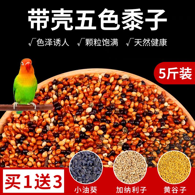 鹦鹉饲料鸟粮带壳谷子小米鸟食玄凤虎皮牡丹专用五色黍子5斤粮食