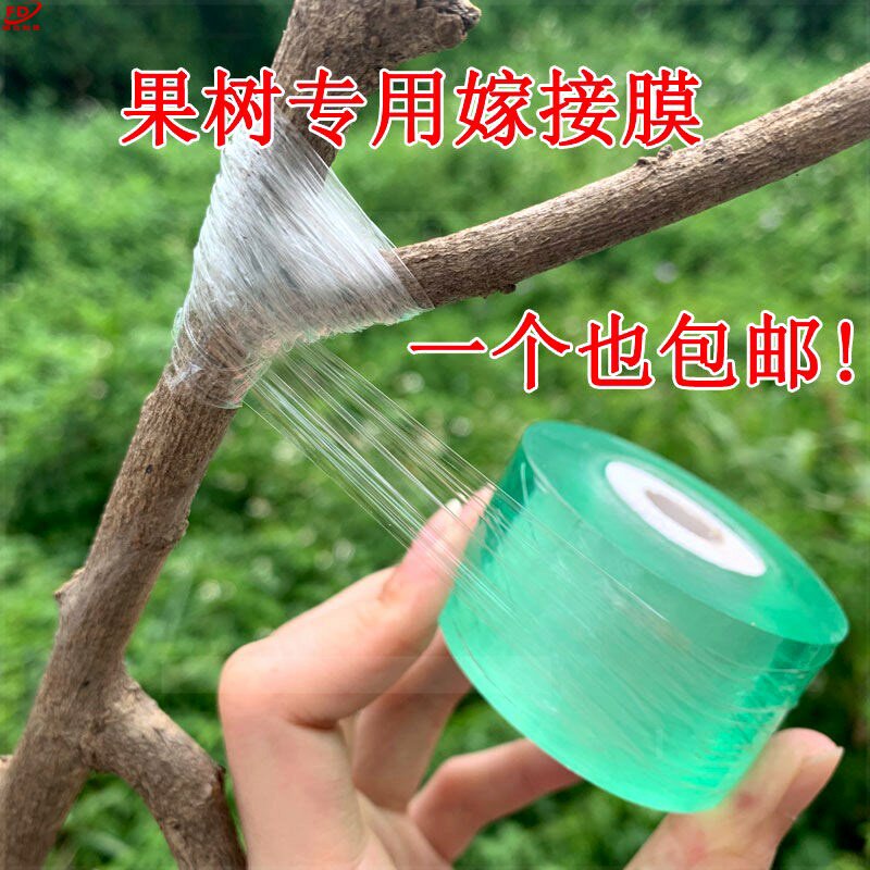 嫁接膜接树果树缠绕膜嫁接专用糯米纸拉伸膜包扎带自粘式月季苗木