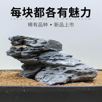 鱼缸造景石头青千层石天然原石大号假山盆景草缸装饰品小摆件套餐