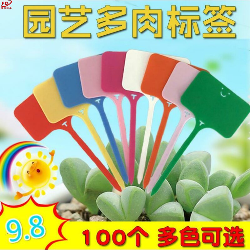 塑料专用多肉标签个性标识牌100张绿植绿色工具卡片盆栽树木种花
