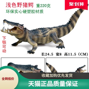 史前鳄鱼玩具恐鳄波斯特帝王鳄似鳄龙灭绝巨齿鲨鱼龙王鲸仿真模型