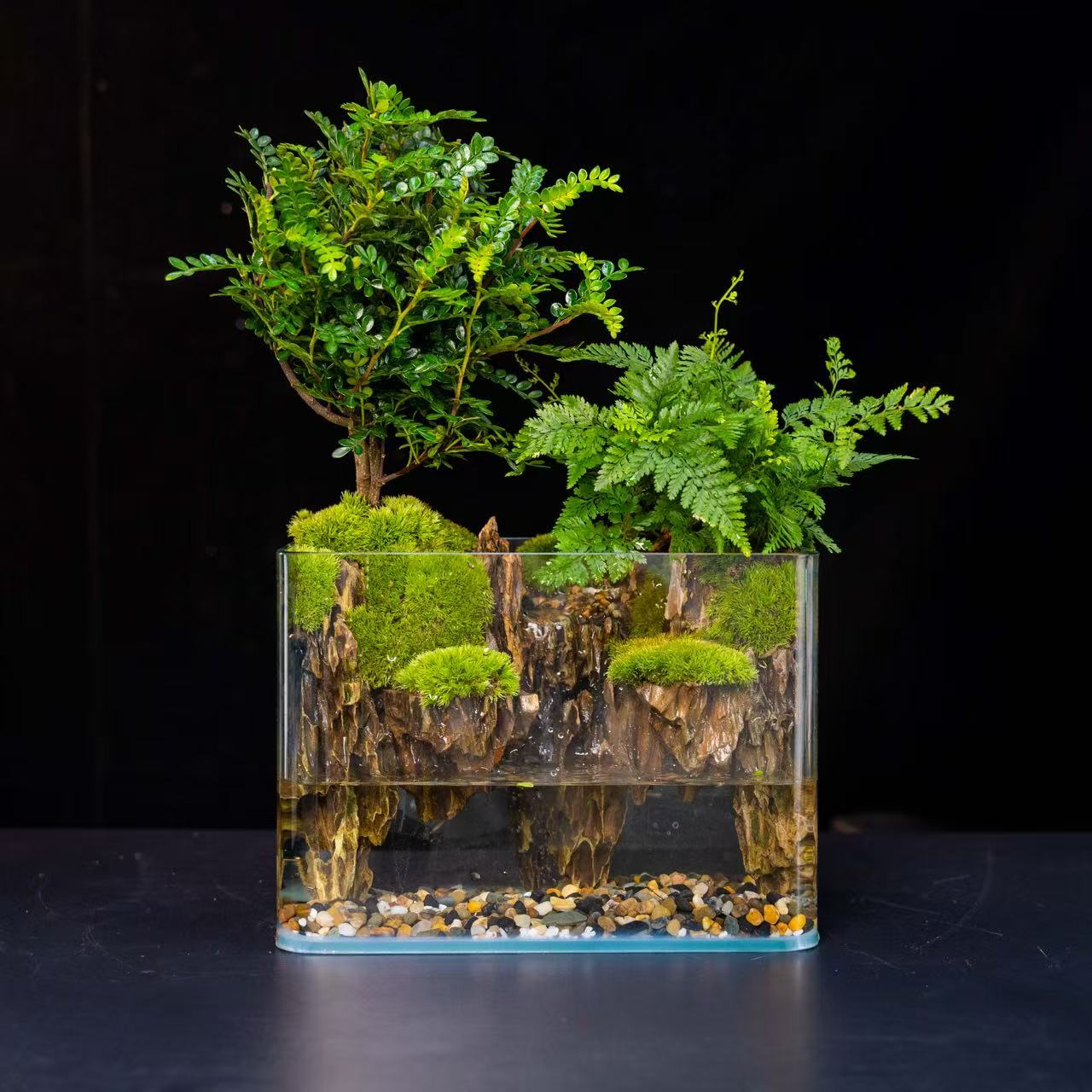 【無也秘境】松皮石清香木微景观绿植盆栽中式桌面尺寸真绿植
