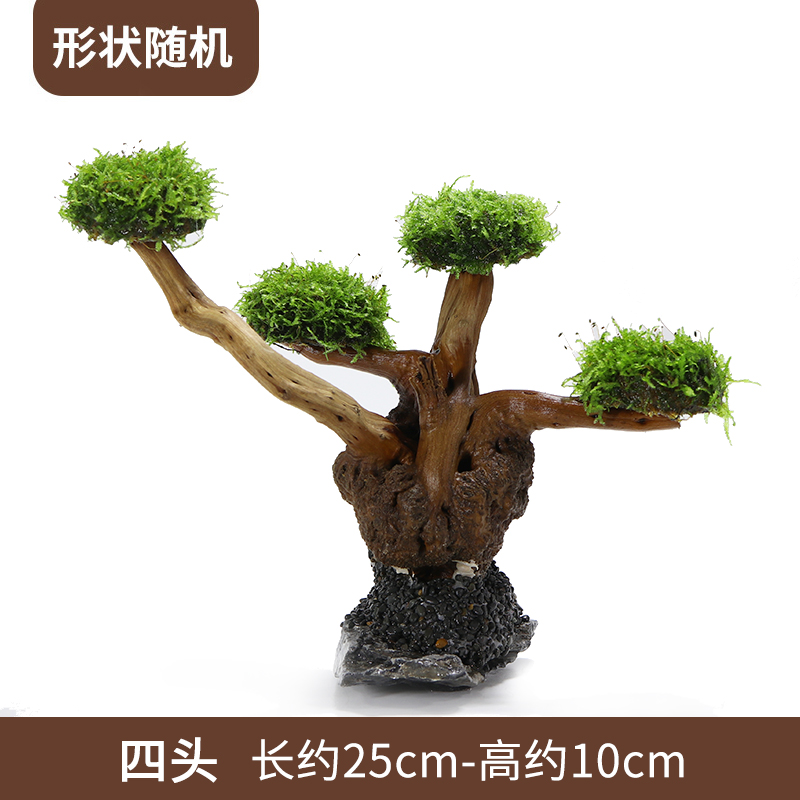 莫斯树成品生态鱼缸造景水草真草缸植物活莫斯装饰沉木套餐迎客松