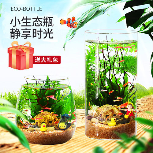 生态瓶微景观办公桌免换水diy缸