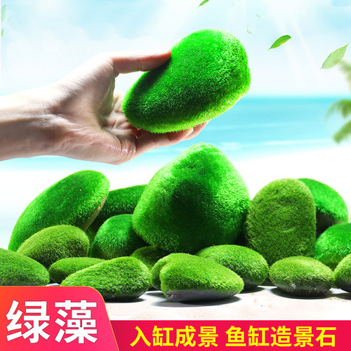 仿真青苔石天然北京鸡蛋造景石