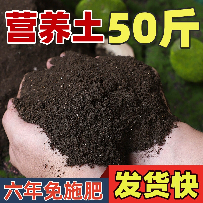 营养土养花专用多肉土通用型肥料种花土壤种菜泥土家用种植土花土
