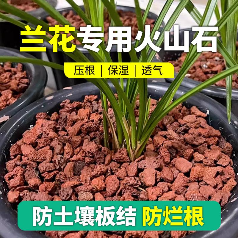 兰花专用火山石室内花卉盆栽铺面鱼缸龟缸造景滤材火山岩底砂颗粒