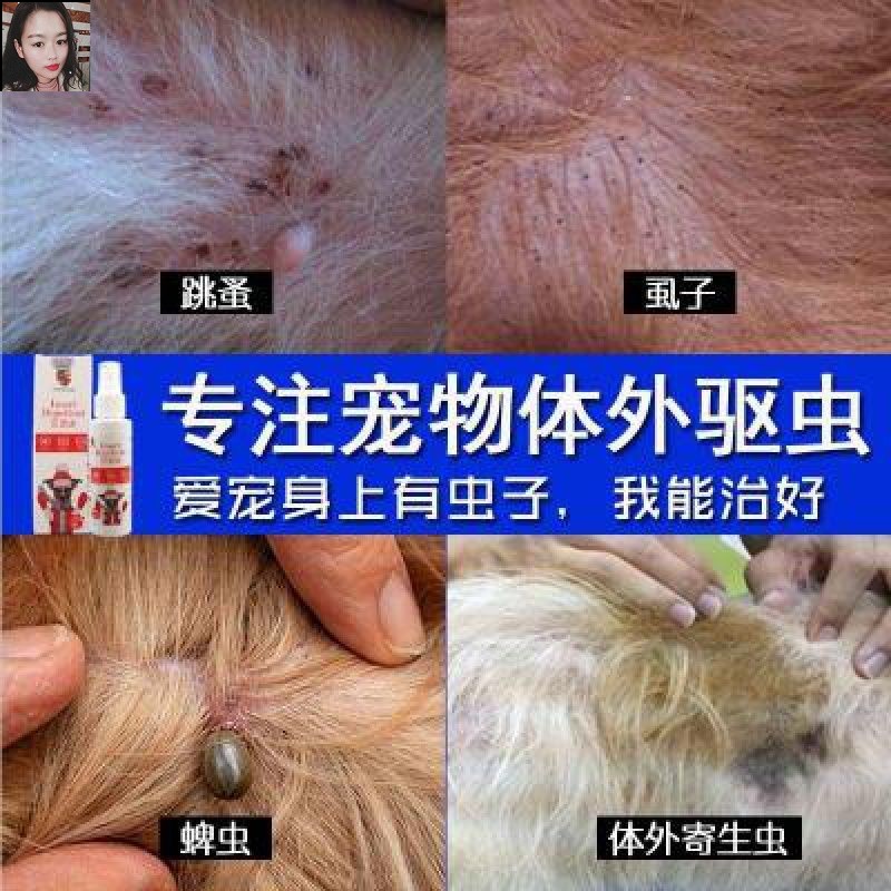 给狗驱虫的药狗狗防虫喷雾宠物虫螨锚狗跳蚤虱子体外