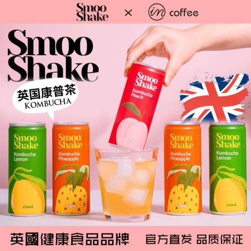 英国Smooshake康普茶饮料碳酸气泡水果味汽水蜜桃柠檬菠萝250ml