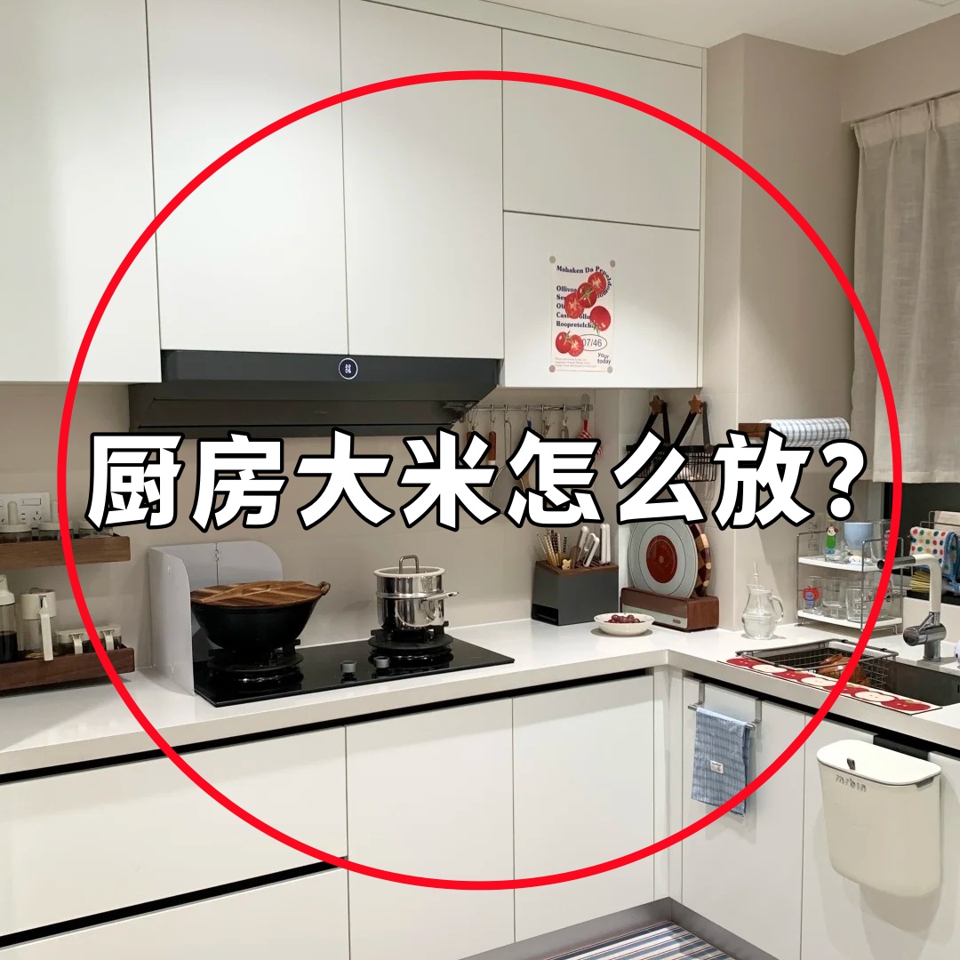 厨房大米怎么放？按键式米桶家用防虫防潮密封大容量水槽沥水袋