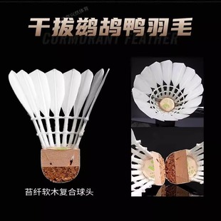 wenjie文杰羽毛球101/102/103/104/105/106/107/108耐用送手胶