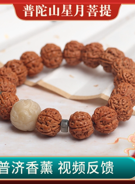 普陀山正品貔貅金刚菩提手串
