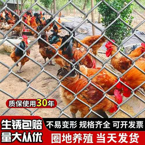 热镀锌钢丝养殖围栏网生锈包赔