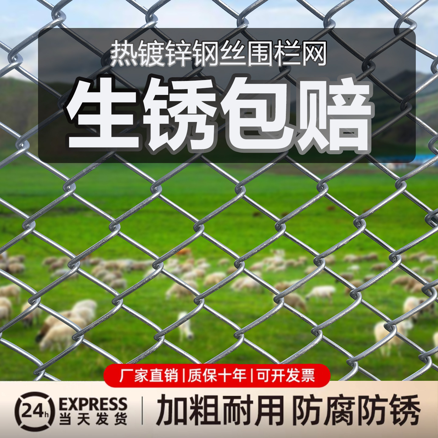 镀锌铁丝网钢丝网网格围栏栅栏户外护栏网家用养殖拦鸡网菜园防护