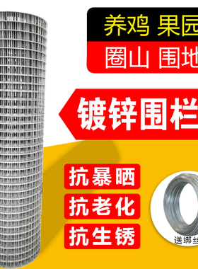 热镀锌铁丝围栏钢丝电焊养殖网笼防蛇鼠铁网格网片阳台防护隔离网