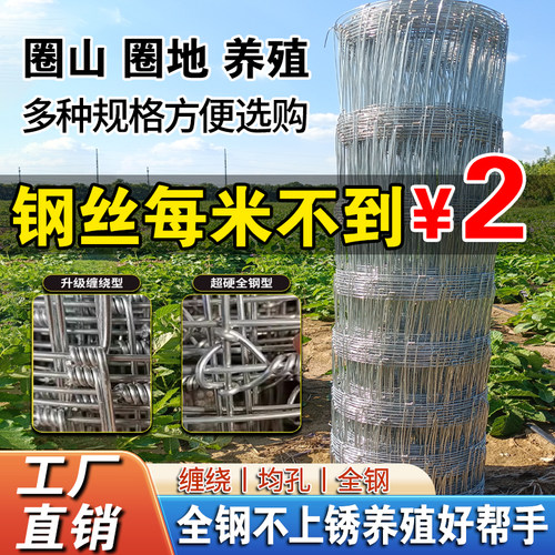 钢丝网围栏牛栏网果园网抗撞镀锌