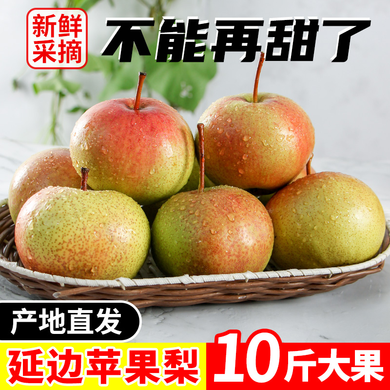 东北延边苹果梨5斤精选大果酥梨时令水果新鲜应季脆梨