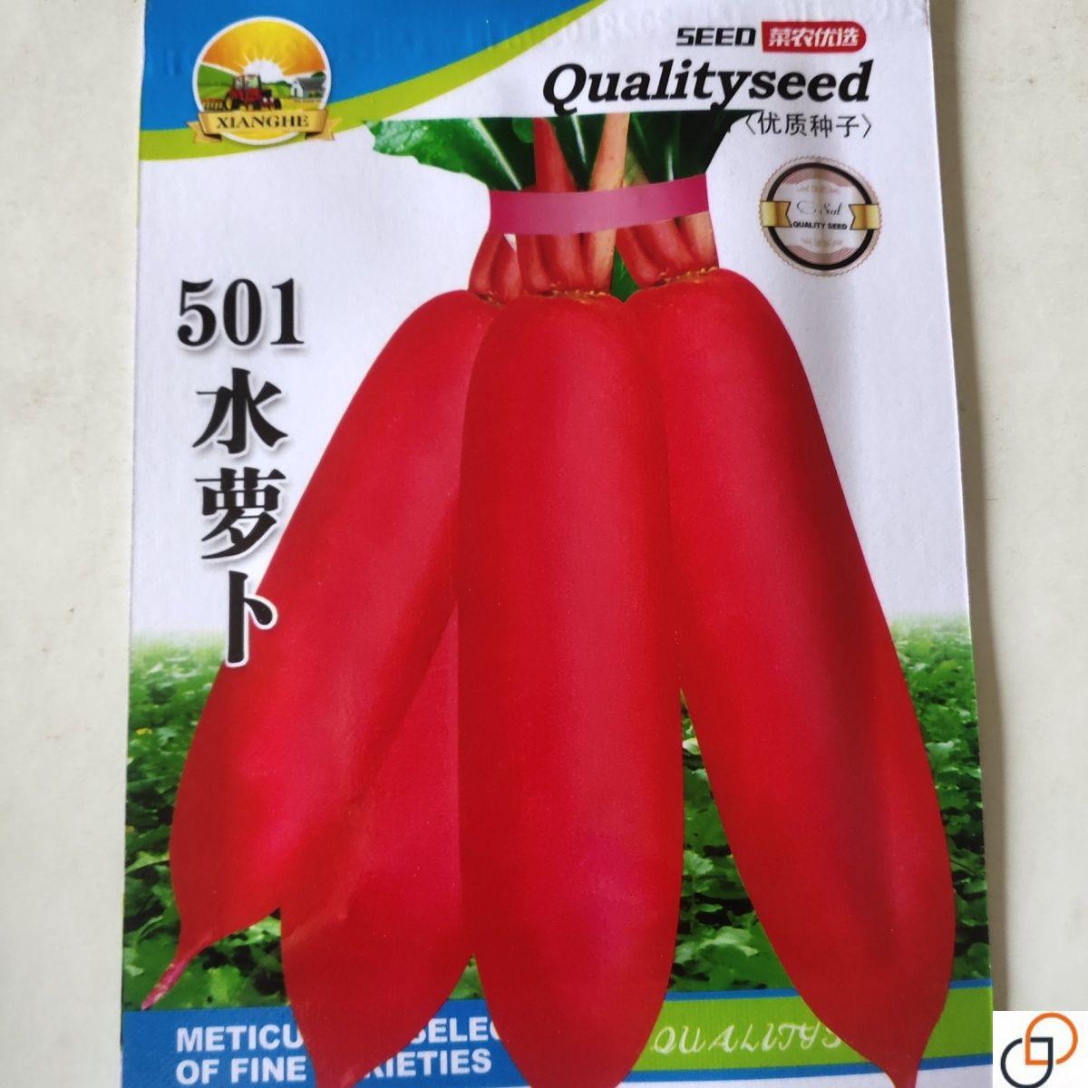 【原装高产】水萝卜种子红皮白肉萝卜种籽早熟脆甜四季播蔬菜种子