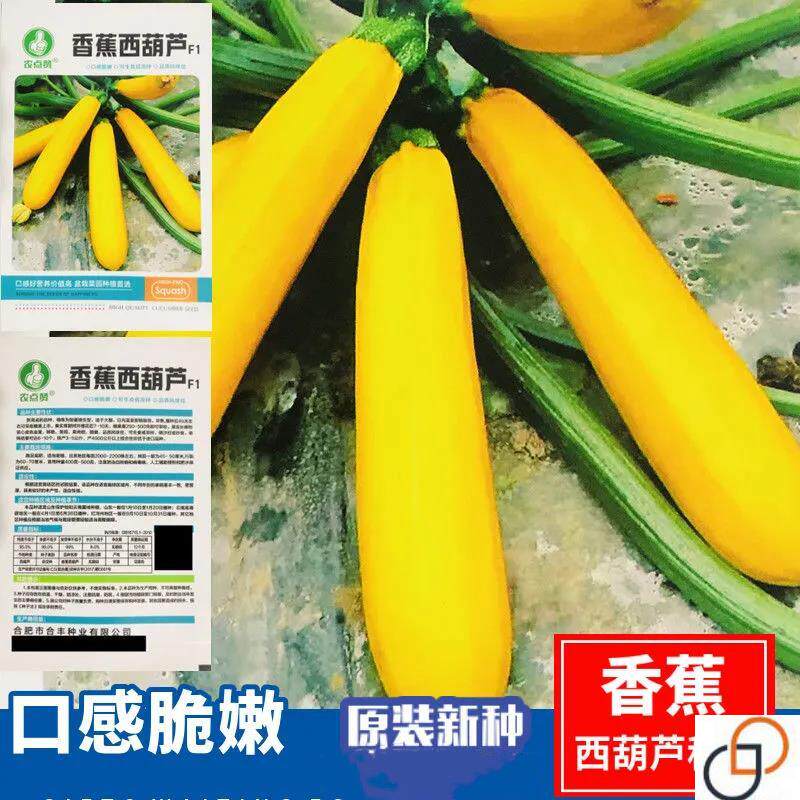 香蕉西葫芦种子黄色金皮香蕉瓜种籽高产生吃阳台盆栽四季蔬菜种子