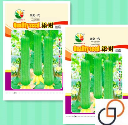 添财肉丝瓜种子杂交一代春夏秋季特长丝瓜农家庭院爬藤蔬菜菜种孑