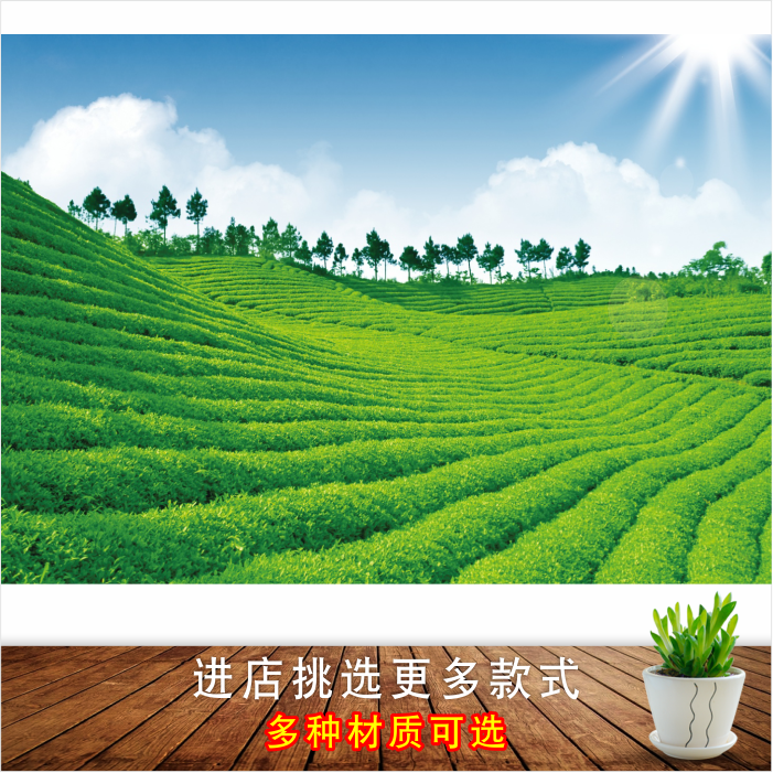 茶园自然风景画采茶园茶山图绿色田园风光茶叶茶馆装饰画墙贴画