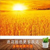 金色麦田海报贴画丰收图麦子墙壁画客厅厨房装 饰画田园自然风景画
