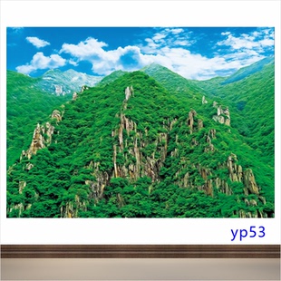 靠山图背有靠山高山大山聚宝盆有山无水群山画招财聚财装饰壁画