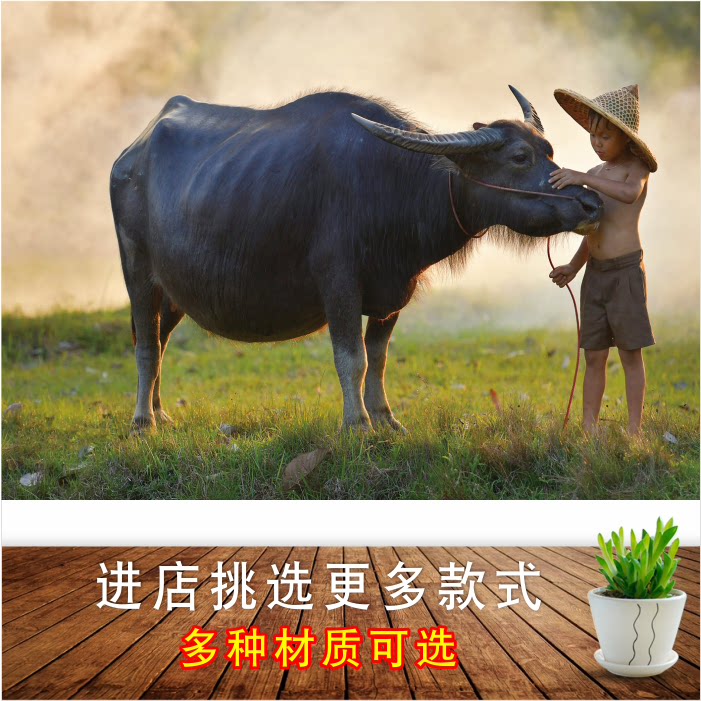 牧童与牛装饰画墙贴 春牛图水牛黄牛图贴画 牛图镇宅招财风水画