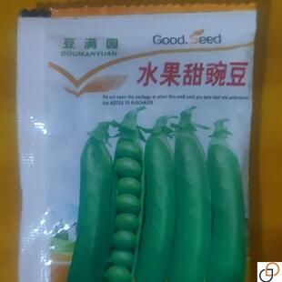 高产珍奇甜脆豌豆种子农家四季种植荷兰豆水果甜豆蔬菜籽豆荚籽