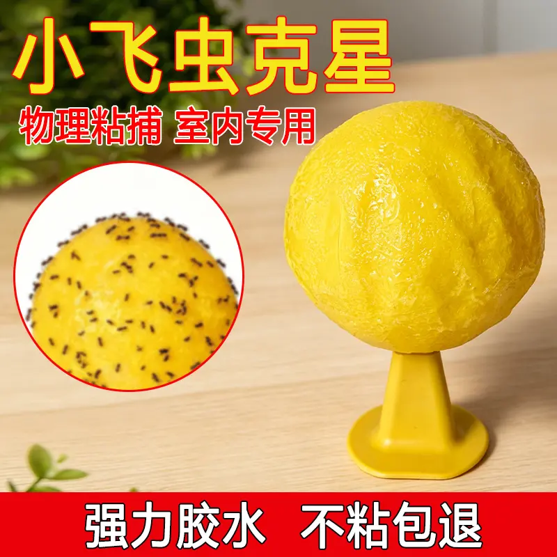 【下单立减50】室内诱蝇球果蝇球小飞虫克星灭蝇神器安全环保持久