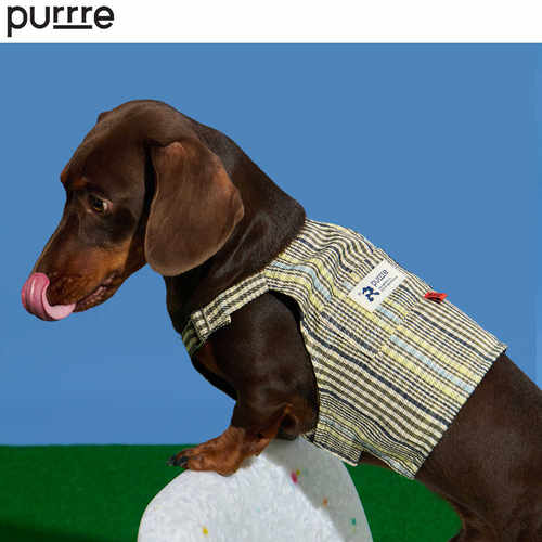 purrre猫咪方格子背心衣服狗狗