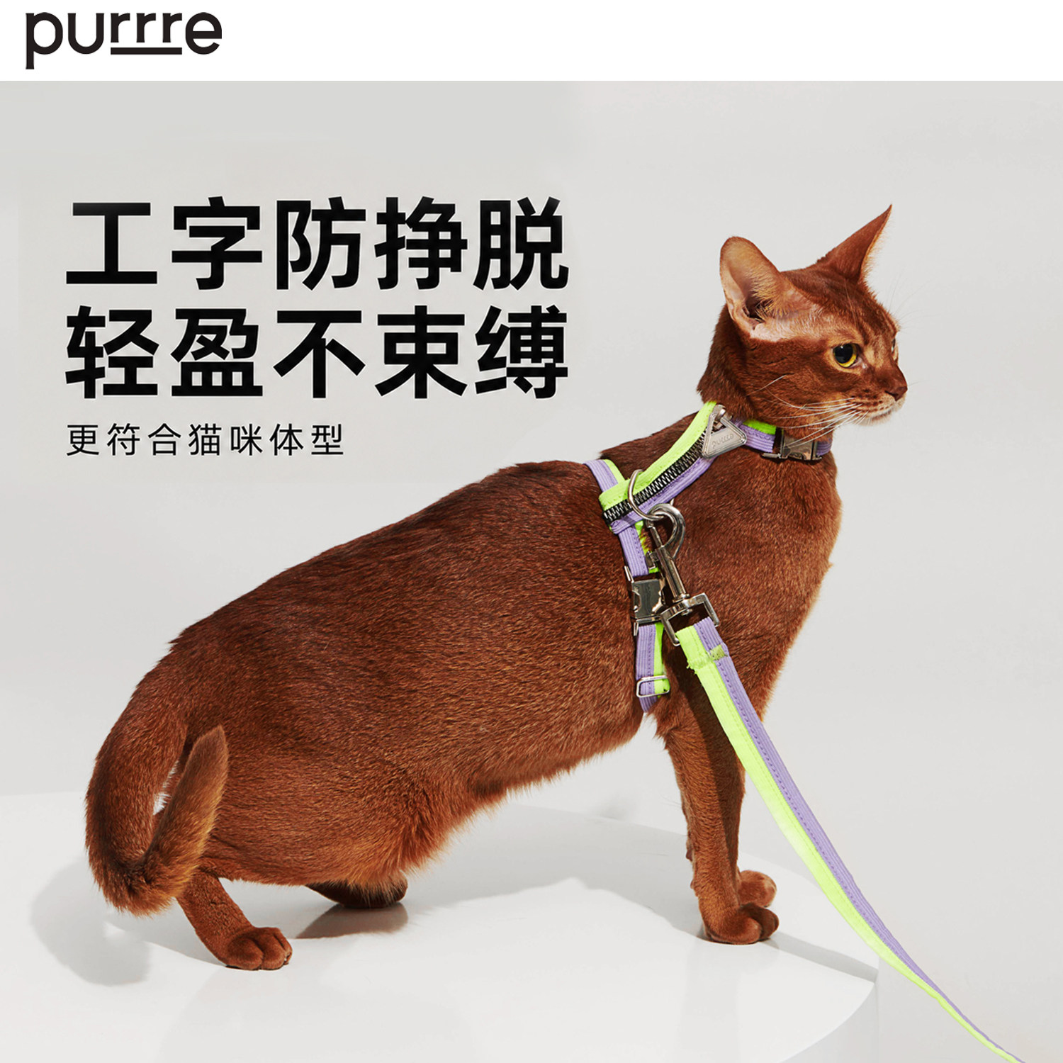 purrre猫牵引绳外出用工字防挣脱图片