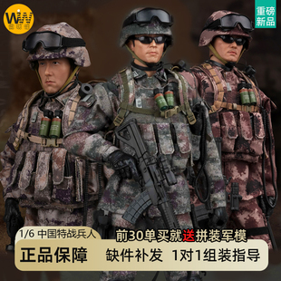 1/6中国军人手办模型兵人可动人偶战士陆军纪念品PLA迷彩士兵玩具
