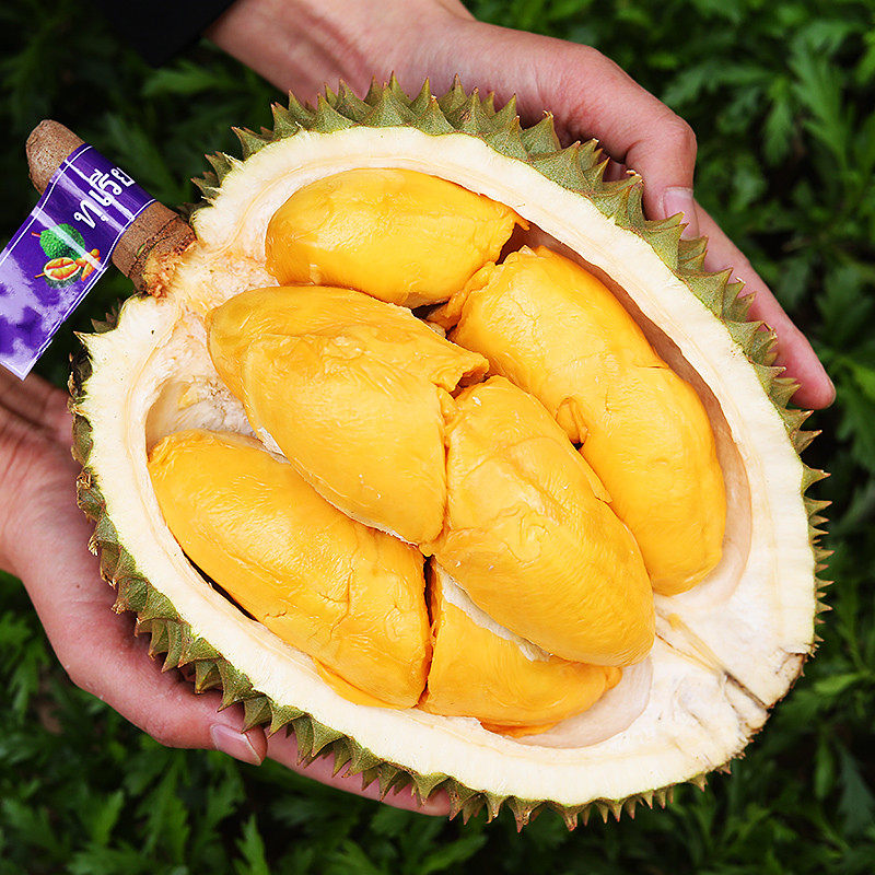 【破价】泰国托曼尼小巴掌榴莲2个共4-5斤肉黄味浓核大勿生切,水产肉类/新鲜蔬果/熟食,榴莲,淘宝优惠券,粉丝福利购,淘宝优惠卷