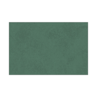 入户门地垫高级感绿色入户门垫加厚玄关门口脚垫可裁剪定制纯色