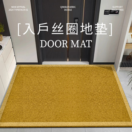 入户门地垫进门家用防滑脚垫子丝圈地毯门外门口门垫2024新款定制