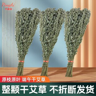 端午节干艾草家用泡脚药包洗澡新鲜艾草挂门整颗束青艾叶花束带杆