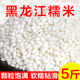25年东北糯米白糯米江米农家江米糯米年大米圆粒包粽子酿酒家用