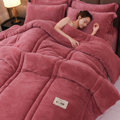 冬季 加厚牛奶绒保暖10斤双面绒被芯冬被珊瑚绒被子丝棉冬被四件套