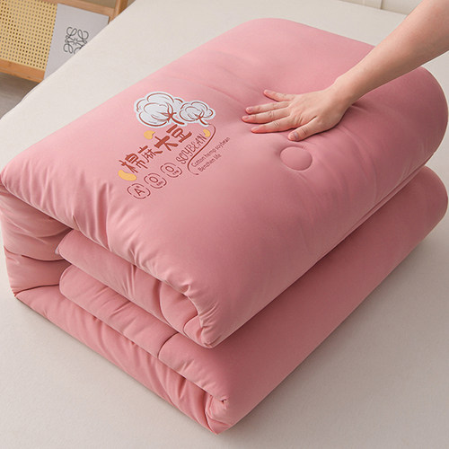 大豆纤维被子春秋被芯加厚保暖