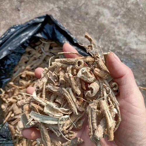 四川楤木根皮 鹊不踏虎阳刺 鸟不宿 鸟不站 刺树椿纯根500g