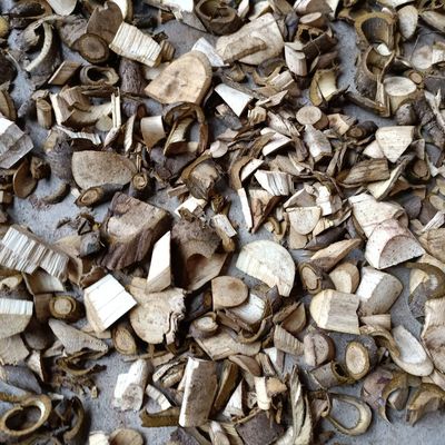 新鲜核桃树根 山核桃根 四川深山大树细根良心中药材500g包邮