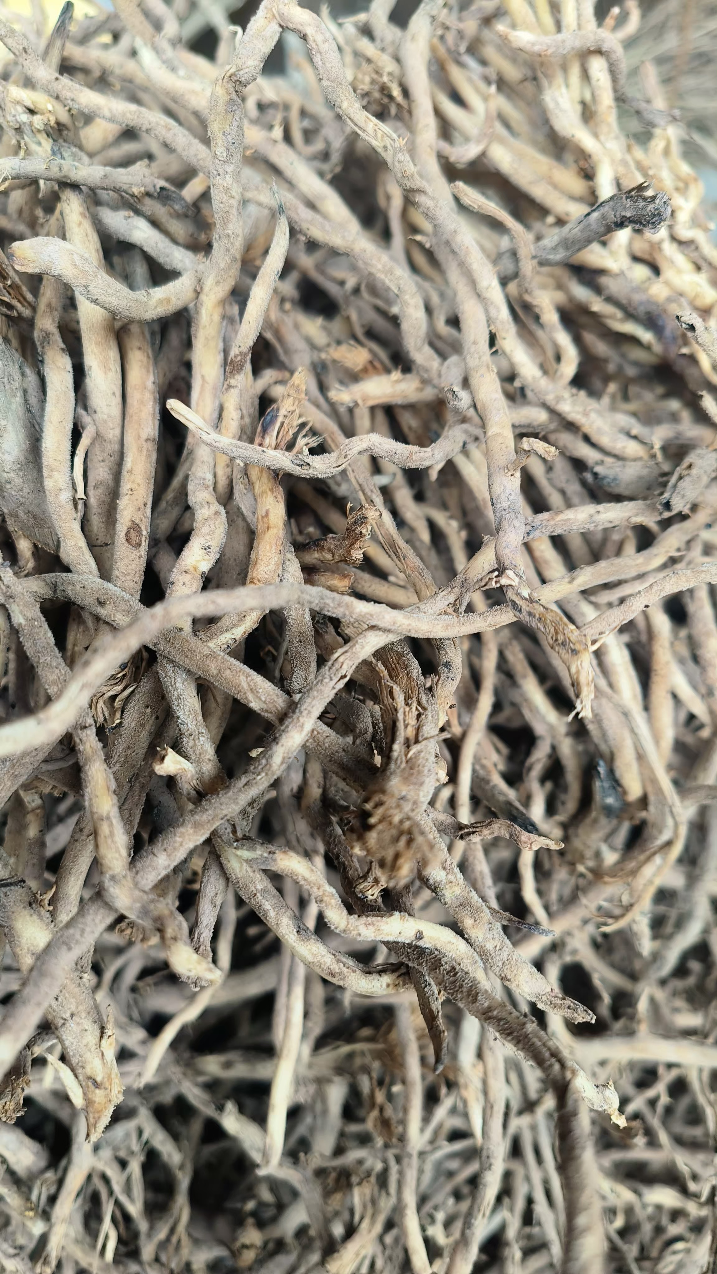 正宗纯天然野生煲汤棕树根 棕榈根 棕根 黑发新鲜500g包邮