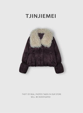 T井姐妹【紫韵】设计感精致小众羽绒服气质百搭鹅绒服ERF2512-885