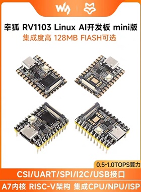 微雪 幸狐RV1103 Pico Mini Linux AI开发板 RISC-V架构128MB容量