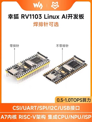 微雪 Luckfox Pico 幸狐RV1103 Linux开发板 RISC-V 人工智能应用