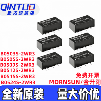 B0505S-2WR3 B0503/0509/0512/0515/0524S-2WR3 MORNSUN/金升阳
