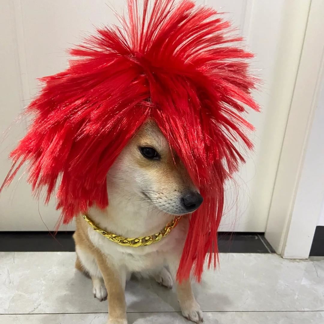 假发全头套男女杀马特朋克造型宠物非主流个性沙雕搞怪彩色爆炸头